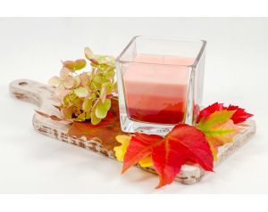 Świeca zapachowa Kwiat Kaktusa