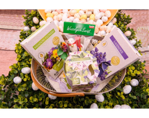 Zestaw Prezentowy Koszyczek Beżowy