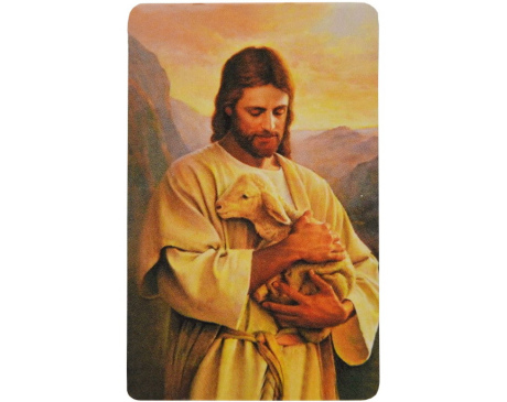 Magnes Jezus Dobry Pasterz