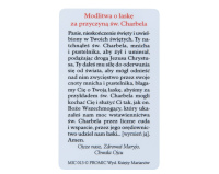 Karta z Modlitwą - Św. Charbel