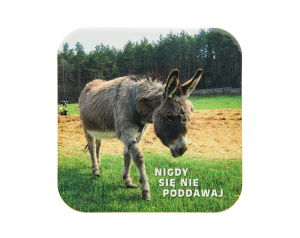 Podkładka pod kubek chrześcijańska – Nigdy się nie poddawaj (osiołek)