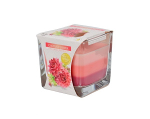 Świeca zapachowa Kwiat Kaktusa